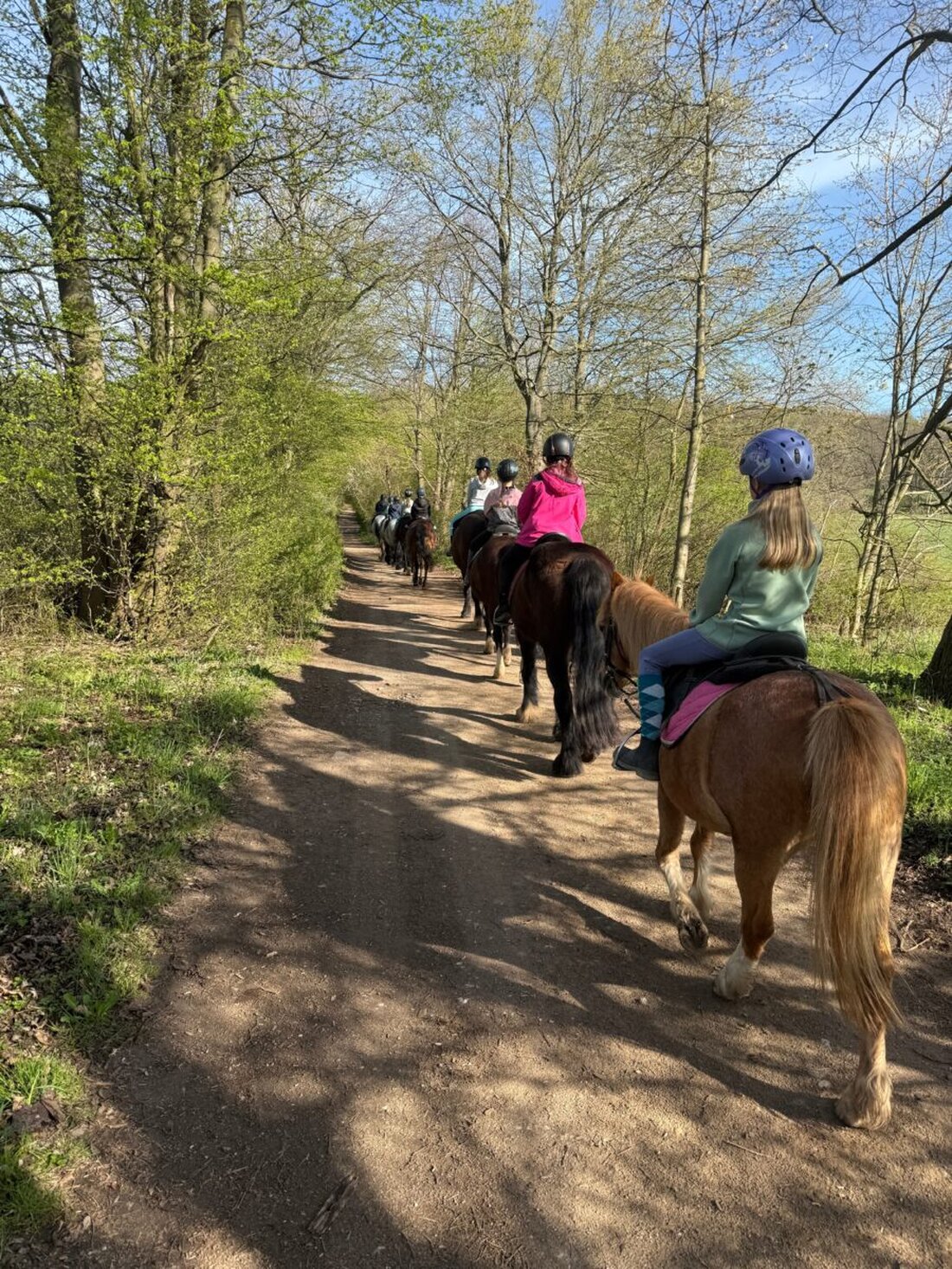 Tirschenreuth. In den Osterferien bietet die Kommunale Jugendarbeit Tirschenreuth wieder die beliebten Reiterferien für Mädchen an. Die Freizeit findet vom 28. März bis 3. April auf dem Reiterhof Schumann in Triptis statt.