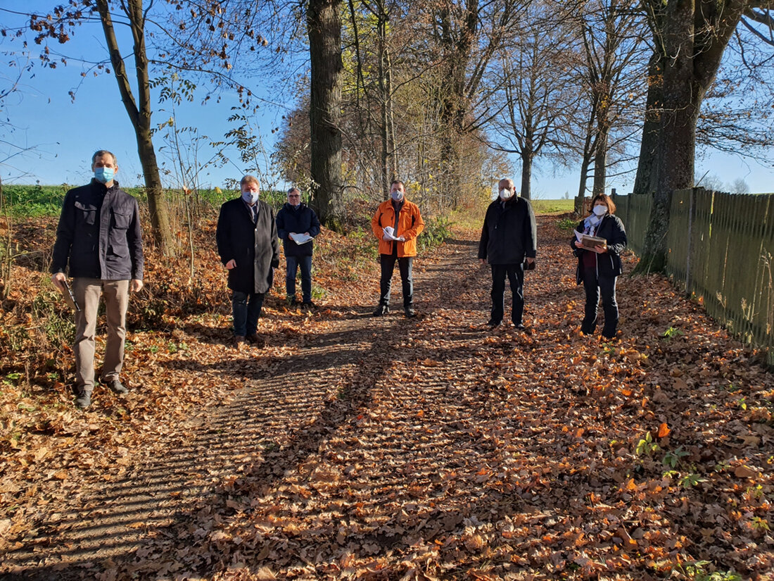 Störnstein. Einige der Allee-Bäume zwischen dem früheren Bezirksgut und Ernsthof könnten 200 Jahre alt sein. Nun sind Pflegemaßnahmen notwendig, damit nicht Äste auf Spaziergänger fallen. Keinesfalls soll aber der Charakter der [&hellip;]