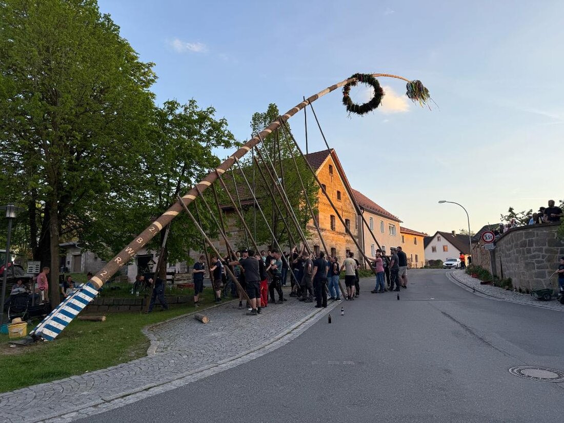 Oberbibrach. 45.39 Meter misst der Oberbibracher Maibaum im Jahr 2025. „So groß war er noch nie“, war sich eine Gruppe erstaunter Zuschauer einig: „Hoffentlich schaffen das die Jungs.“