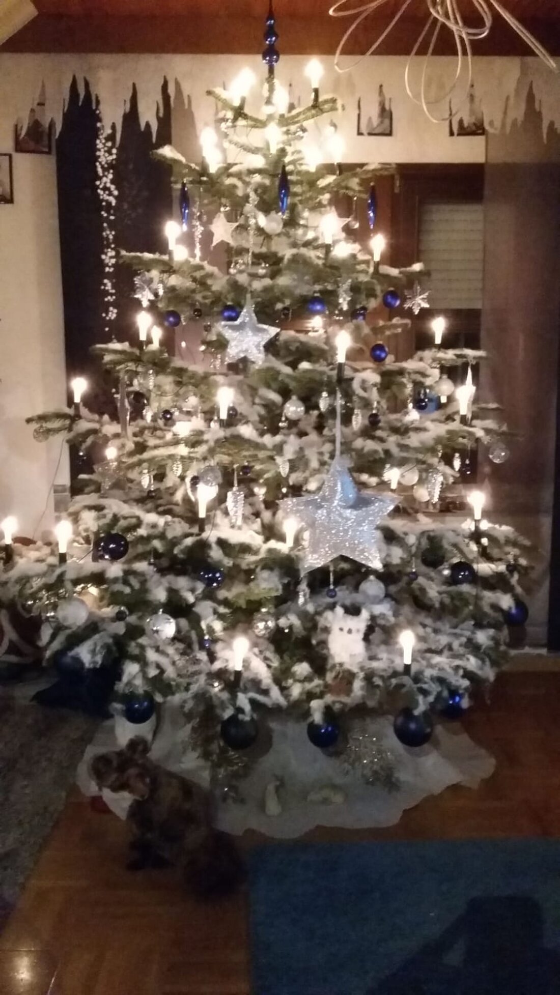 Parkstein. Was darf bei einem richtigen Weihnachtsfest nicht fehlen? Richtig! Der Christbaum. Wir suchen auch in diesem Jahr den schönsten Baum der Nordoberpfalz. Auf den Sieger wartet außerdem – wie [&hellip;]