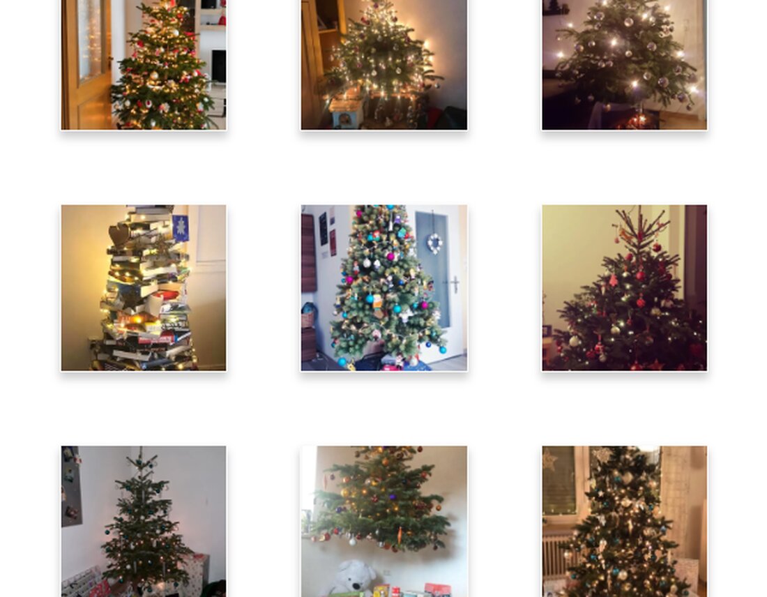 Parkstein. Da sind sie: Die Christbäume der Nordoberpfalz! Jetzt seid ihr gefragt. Welcher Weihnachtsbaum ist der Schönste und hat den Titel verdient? In dieser Vorabstimmung habt ihr die Wahl zwischen [&hellip;]