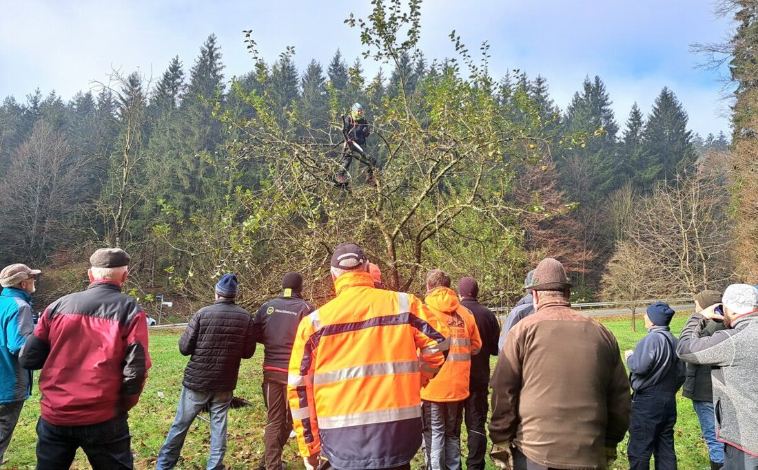 Flossenbürg. Am Samstag fand ein Obstbaumschnittkurs in Flossenbürg statt, bei dem knapp 30 Teilnehmer lernten, wie man Bäume fachgerecht schneidet, um ihre Qualität und Wachstum zu fördern. Der Kurs wurde von der AWO Flossenbürg und der Siedlergemeinschaft organisiert, wobei praktische Schnitttechniken und die Bedeutung eines richtigen Schnittzeitpunkts thematisiert wurden.
