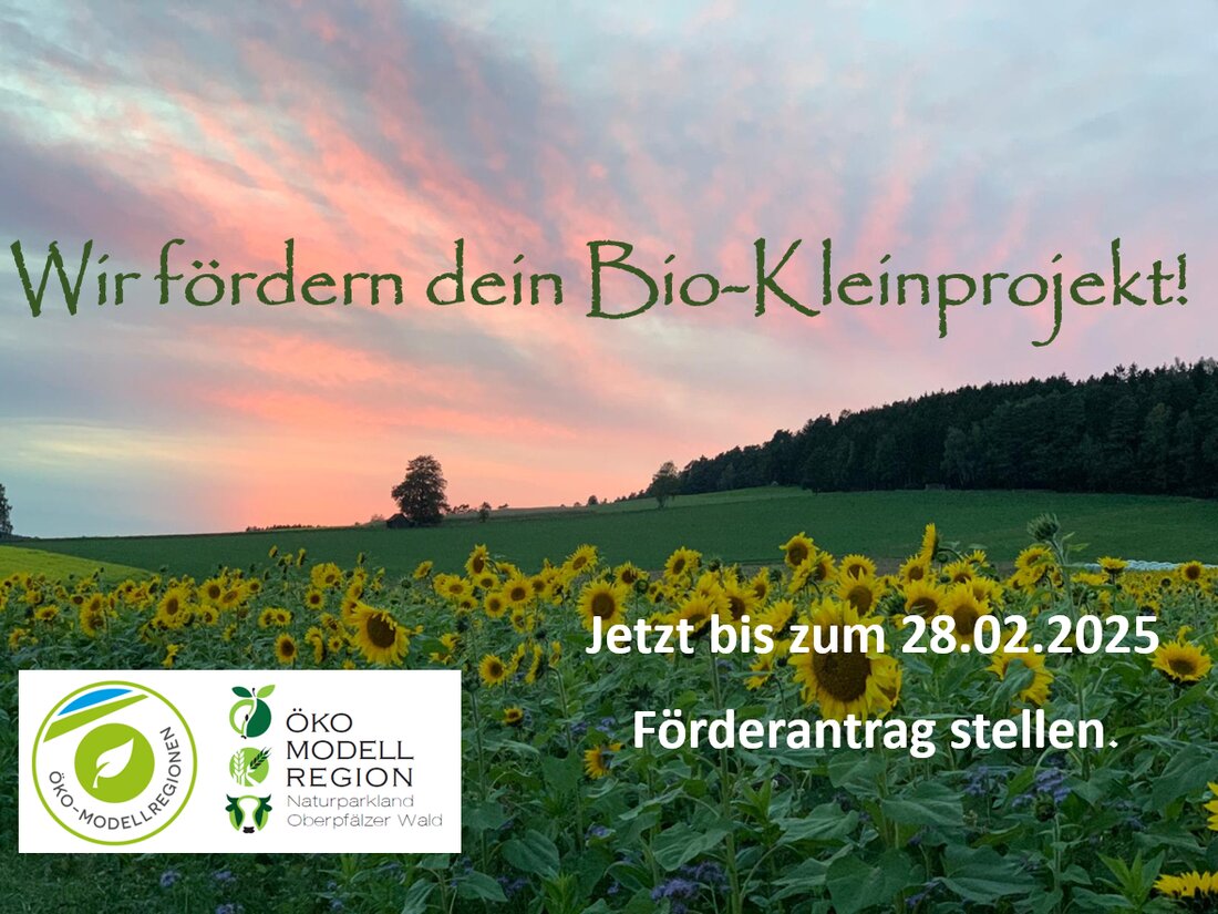 Tännesberg. Die Öko-Modellregion Naturparkland Oberpfälzer Wald bietet 2025 bis zu 50% Förderung für Kleinprojekte bis max. 20.000 €, um regionale Bio-Wertschöpfungsketten zu stärken. Antragsfrist ist der 28. Februar 2025, Bio-zertifizierte Betriebe aus bestimmten Gemeinden können sich bewerben.