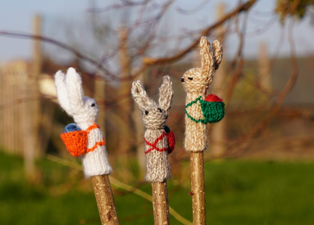 Schwandorf. Juradistl-Lamm verbindet in der Osterzeit regionalen Genuss mit Naturschutz: Schafe pflegen Magerrasen im Landkreis und fördern Artenvielfalt. Metzgereien und Wirtshäuser bieten hochwertige Produkte und Gerichte.