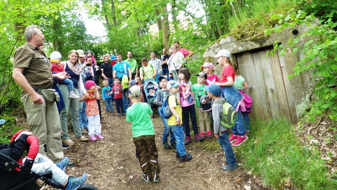 Leuchtenberg. Wo die Fledermaus wohnt und die Bienen und Wespen, das erkundeten die Kinder vom Kindergarten St. Johannes. Der Vogelwart Josef Schieder führte die wissbegierigen Mädchen und Buben, darunter auch [&hellip;]