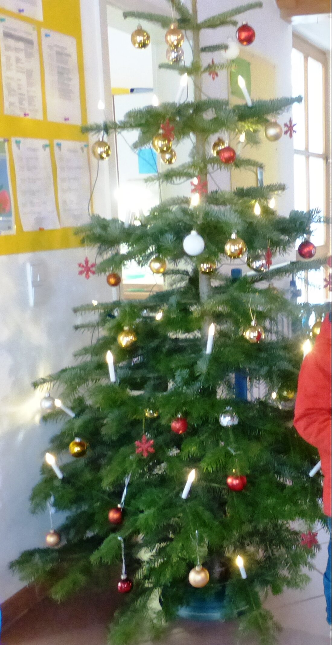 Leuchtenberg. Auch wenn die Kinder den hübschen Christbaum nicht länger anschauen, er darf auch während des Lockdowns stehen bleiben. Der Christbaum ist eine Spende vom Christbaumhof Kammerer aus Döllnitz. Von [&hellip;]