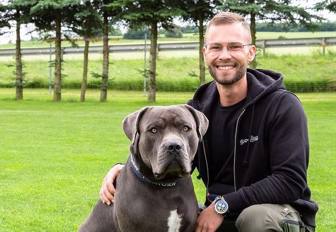 Neustadt/WN. Hunde-Rüde Pünktchen hat bereits Rollen als Petfluencer und in einem Kinofilm ergattert. Jetzt wird er zum TV-Sternchen!