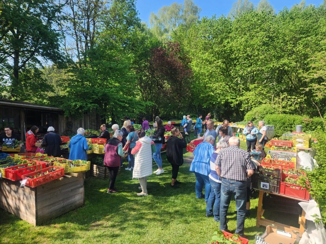 Trabitz. Die dritte Pflanzenbörse in Weihersberg lockte viele Gartenfreunde in den Gartenpark des Bäumler-Anwesens. Seltene Tomaten, Paprika und mehr gab es gegen Spenden; Sommerfest am 25. Juli in der Alten Säge.