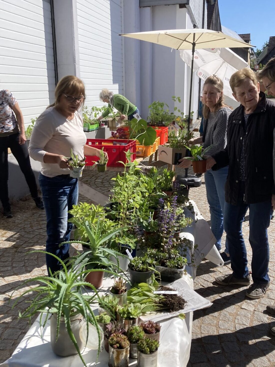 Etzenricht. Bei der Pflanzentauschbörse von ProEtzenricht und der Siedlergemeinschaft gab es neben Pflanzen auch Backwaren, deren Erlös gemeinnützigen Zwecken zugutekommt.