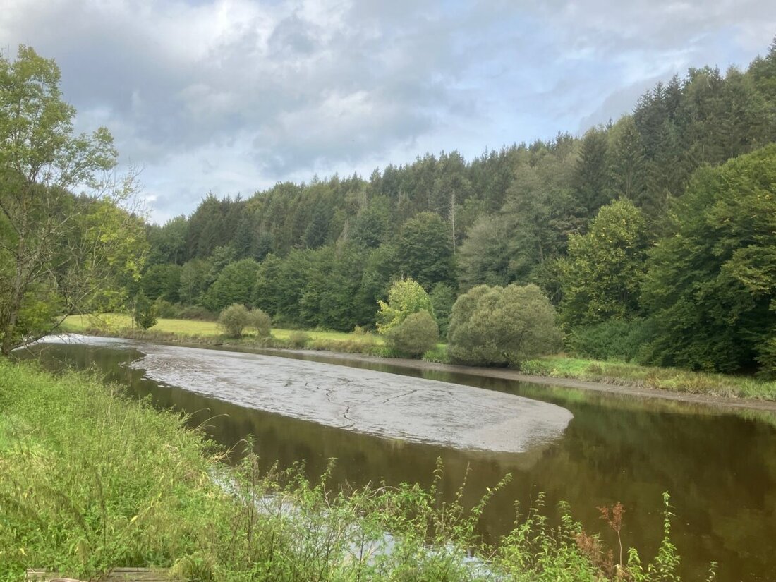 Pfreimd. Nach massiver Verschlammung des Flusses Pfreimd im Oberpfälzer Wald fordert der BUND Naturschutz dringend ökologische Sanierungsmaßnahmen. Kritik richtet sich gegen Planer und Behörden wegen mangelhafter Umweltprüfungen und fehlender Schutzvorkehrungen.