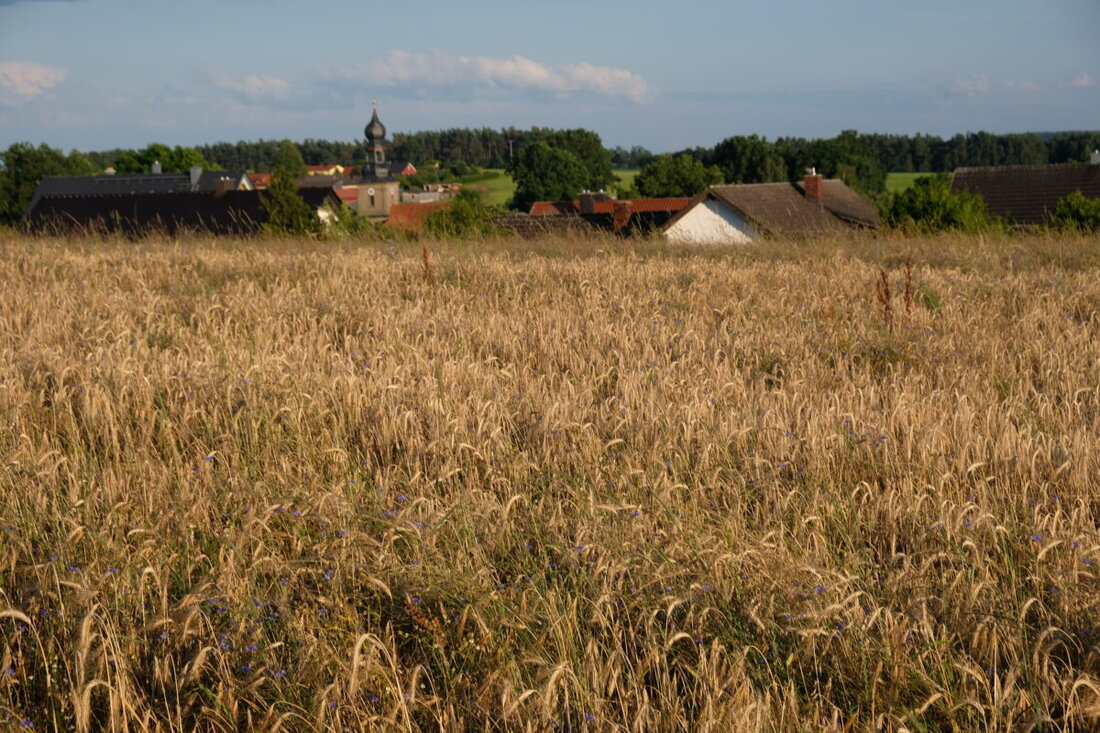 Vorbach. Mit der sechsten Änderung des Flächennutzungsplanes stellt die Gemeinde die Weichen für neue Baugebiete in Oberbibrach und plant bis 2040 etwa 30 Wohneinheiten. Auch klare Regeln für Vereine sind geplant.