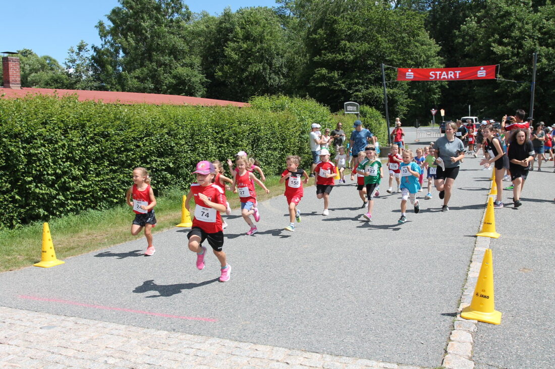 Pleystein. Der 30. Pleysteiner Stadtlauf fand im Rahmen des Oberpfälzer Volkslauf-Cups statt und lockte viele Läufer an. Laetitia Birner und Swen Arnold wurden als schnellste Läuferin bzw. Läufer ausgezeichnet.