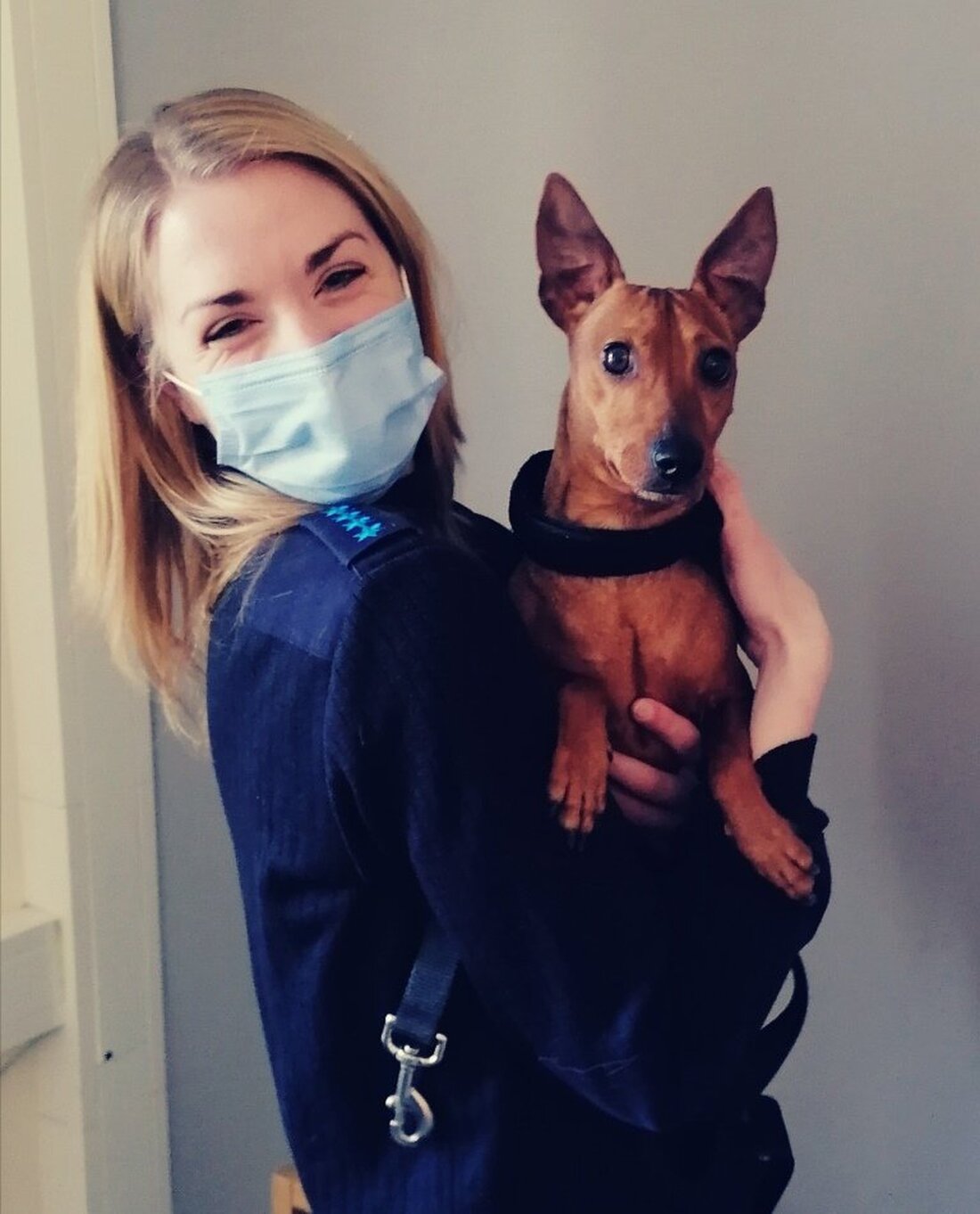 Eschenbach. Hund "Bobby" gönnt sich einen Sonntagsausflug im Alleingang. Zum Glück findet er Dank Zeugen und der Polizei schnell zurück zu seinem Herrchen. 