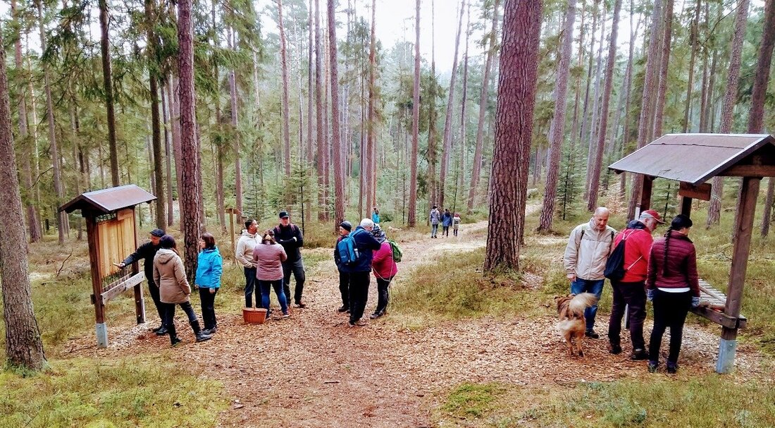 Pressath. Besseres Wetter hätte sich das Pressather Fähnlein zur inzwischen traditionellen Osterwanderung im Hessenreuther Wald kaum wünschen können. Der Sonnenschein strahlte den Wanderern um die Ohren.  Pünktlich zum Start der [&hellip;]