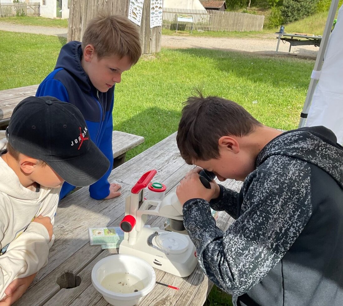 Pressath/Neusath-Perschen. Die vierten Klassen der Grund- und Mittelschule besuchten die WeltWasserWoche im Freilandmuseum Oberpfalz. 