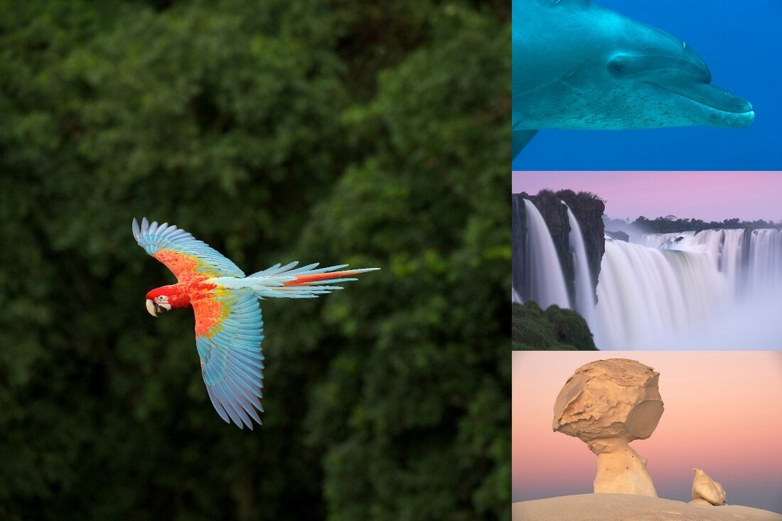 Weiden. Die Erde im Porträt: Eine größere Herausforderung hätte sich Markus Mauthe nicht aussuchen können. In seiner aktuellen multimedialen Fotoshow im Auftrag der Umweltschutzorganisation Greenpeace nimmt der Fotograf sein Publikum mit auf eine [&hellip;]