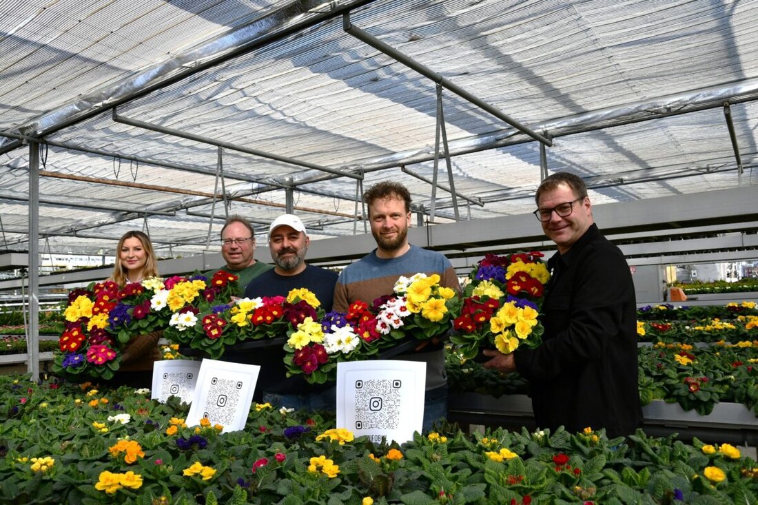 Burglengenfeld. Wifo-Geschäfte verschenken am 20. und 21. März zur Begrüßung des Frühlingsanfangs Primeln. Eine Instagram-Aktion mit Verlosung eines Wifo-Gutscheins ergänzt das traditionelle Dankeschön.