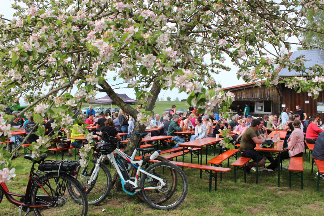 Tirschenreuth. Am 27. April 2025 startet der Radlersonntag im Oberpfälzer Wald. Was bieten Bocklradweg, Vizinalbahn und bayerisch-böhmischer Freundschaftsweg? Hier ist der Überblick.