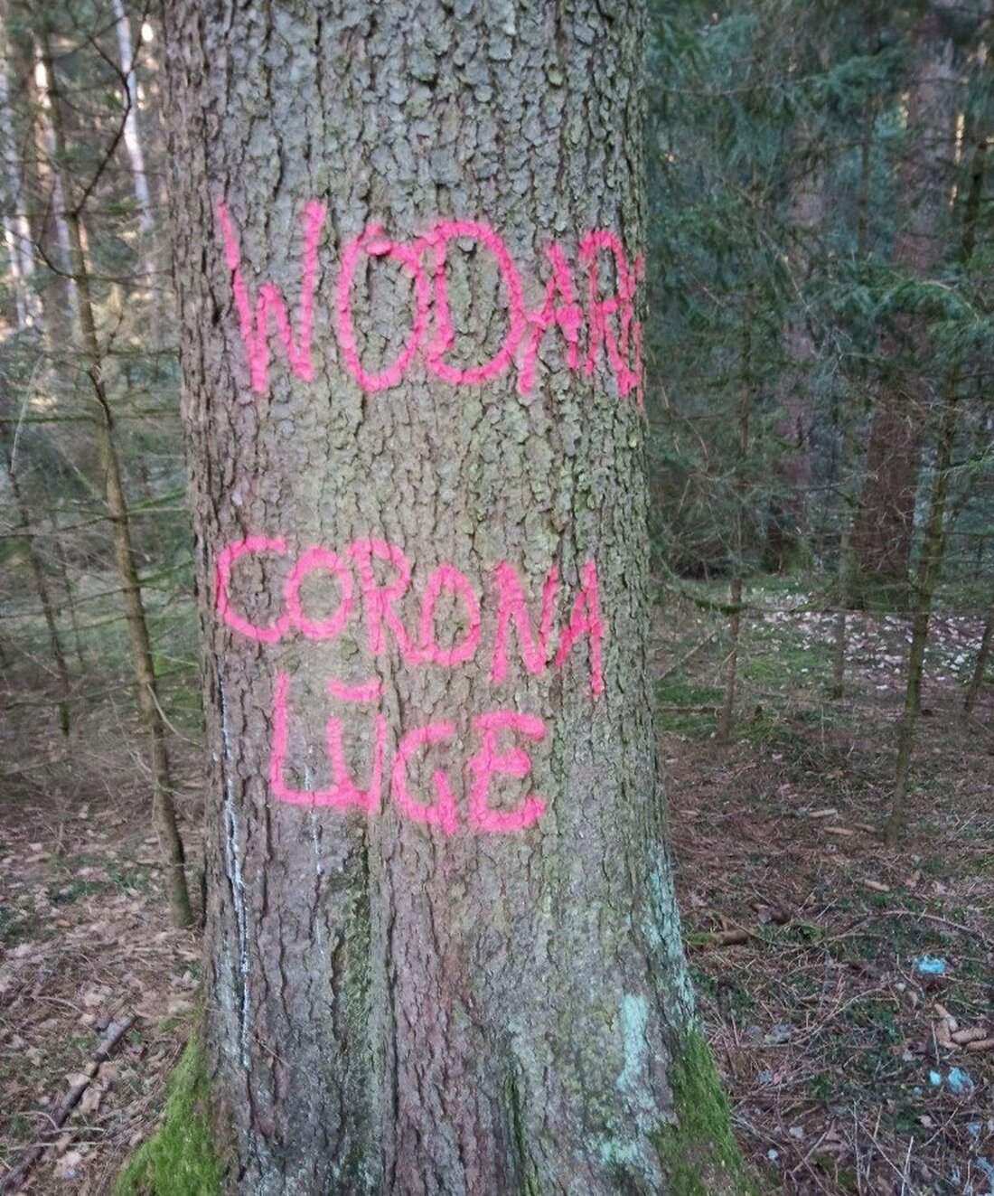 Neustadt/WN/Floß. Entlang des Bocklradwegs hat sich jemand mit Sprayfarbe an Asphalt und Bäumen ausgetobt. 