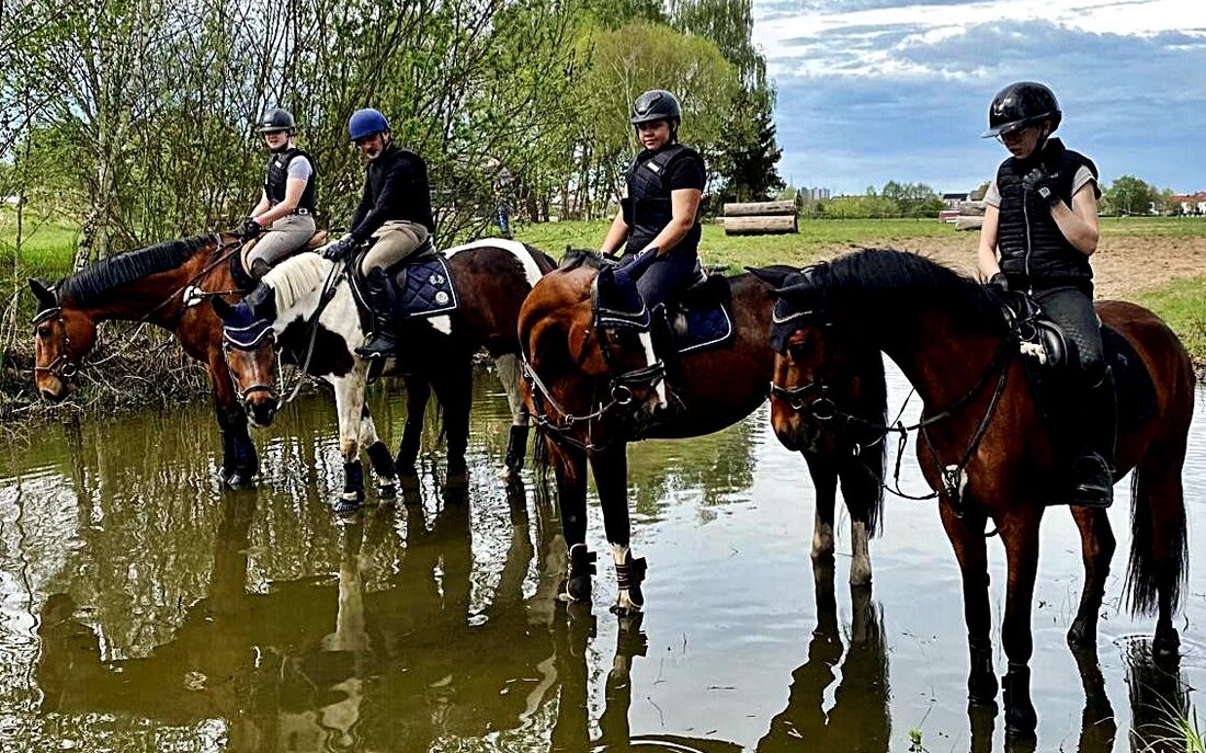Weiden. Der Reiterclub Weiden demonstrierte am Ostermontag sein Engangement im Reitsport mit einem Geländetraining für acht Pferde. Das Training bei den Pferdefreunden Schwandorf bereitete Reiter und Pferde verschiedener Erfahrungsstufen auf die Herausforderungen des Geländereitens vor.