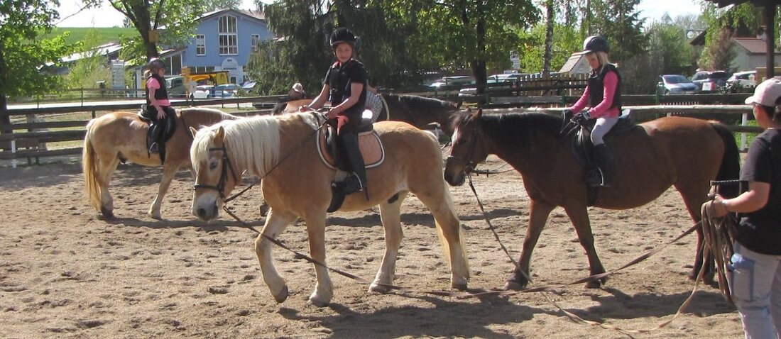 Tirschenreuth. Eine Gruppe Mädels und einen Reiterhof – mehr braucht es nicht für das absolute Ferienerlebnis. 20 Mädels können auch heuer ein Lied davon singen, wo “das Glück der Erde” [&hellip;]
