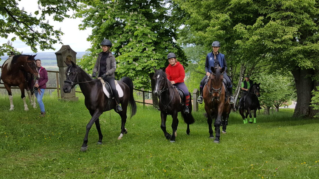 Guttenthau/Speinshart. Der Reitclub lädt am 29. Mai zur traditionellen Pferdewallfahrt mit Feldgottesdienst und Pferdesegnung an der Wallfahrtskapelle St. Barbara ein.