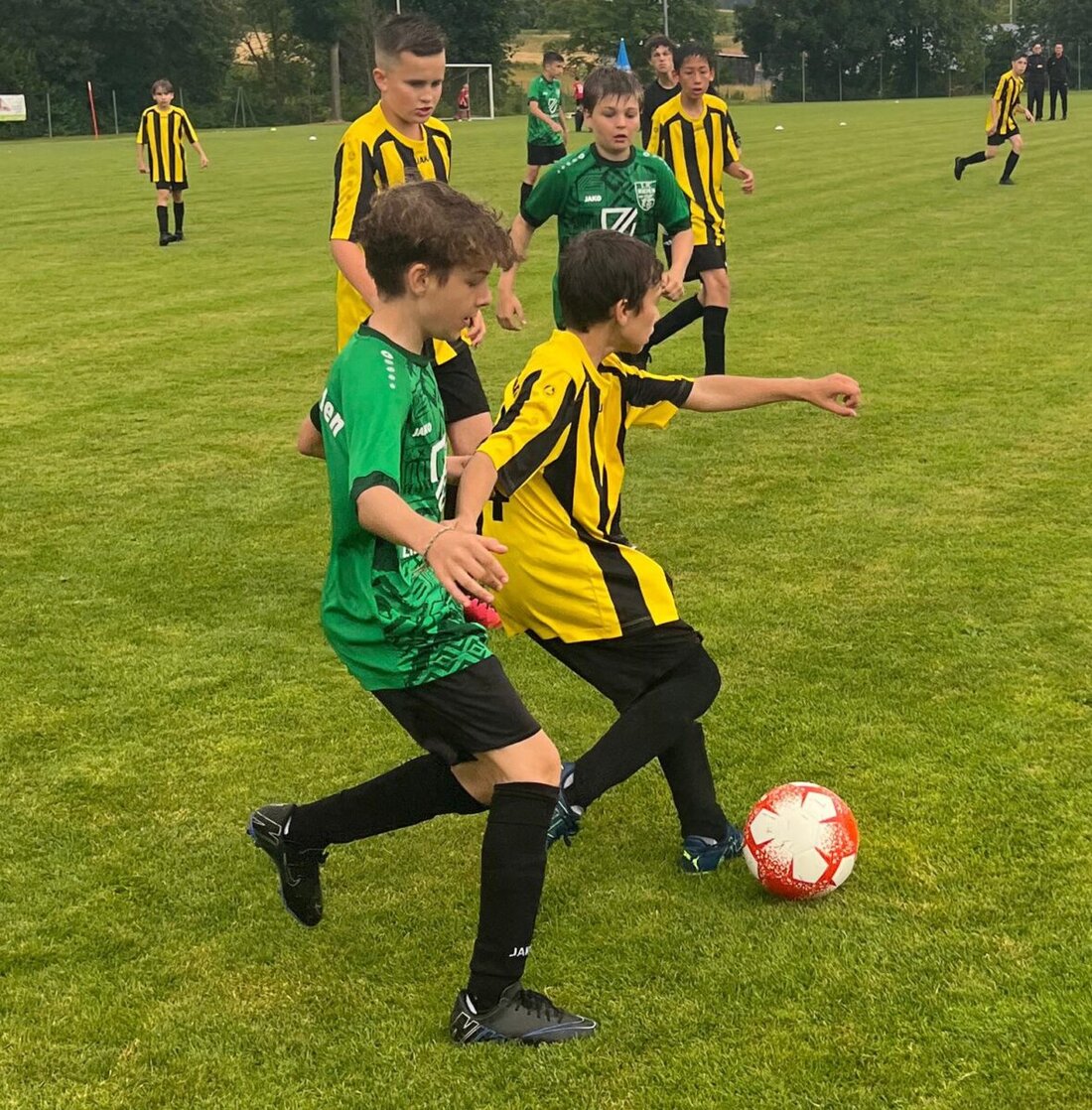 Rieden. Vom 4. bis 6. Juli findet in Rieden das große Sommer-Fußball-Spektakel statt, bei dem rund 100 Mannschaften um Pokale und Ehre kämpfen. Das Event bietet neben spannenden Spielen ein abwechslungsreiches Rahmenprogramm und ist bei freiem Eintritt zugänglich.