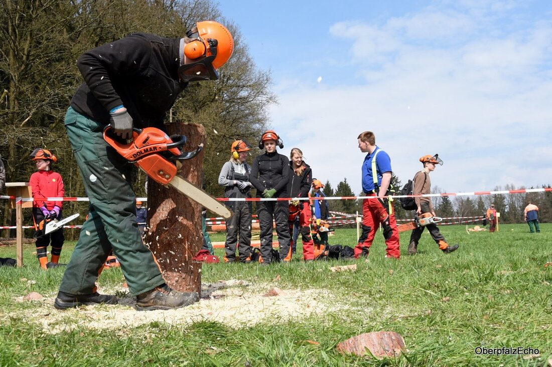 Neustadt/WN. „Nicht schlecht! Ein bisschen was ist gut gelaufen, ein bisschen was weniger gut“, sagt Stefan Fuhrich über seine Teilnahme am forstwirtschaftlichen Wettbewerb. Mit 70 weiteren Teilnehmern aus den elften [&hellip;]