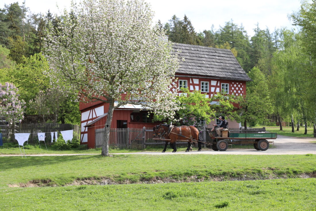 Nabburg. Am 15. März startet das Freilandmuseum Oberpfalz mit der Ausstellung "Angebandelt - Ein Date mit der Schürze" in die Saison 2025. Es bietet vielfältige Programme, vom Maibaumaufstellen bis zu Workshops und einen Bauernmarkt in Perschen.