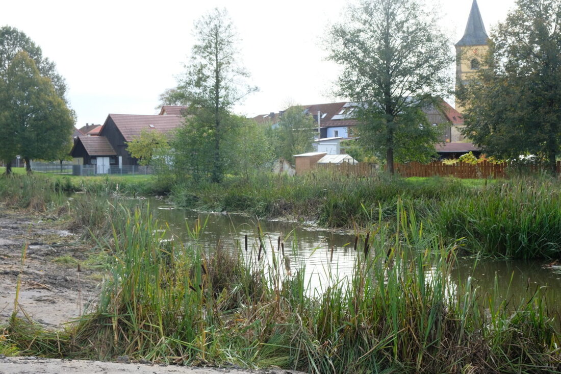 Tremmersdorf. Die Sanierung der Creußen verzögert sich, erste Verbesserungsmaßnahmen sind frühestens für 2027 geplant, während Unklarheiten bei der Zuständigkeit bestehen. Die Gemeinde und Anlieger zeigen sich ungeduldig, effektive Zwischenlösungen und regelmäßige Pflege sind gefordert.