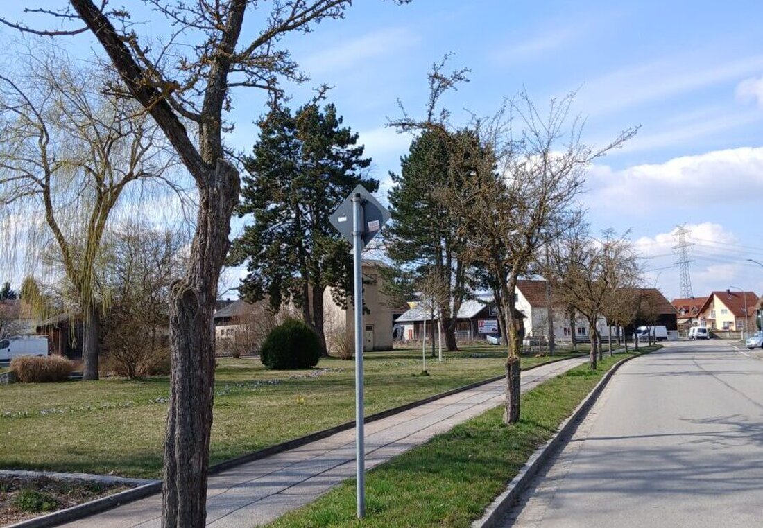 Schwandorf. In Dachelhofen werden ab Mittwoch, 29. April 2026, wegen des Obstbaumsplintkäfers 15 Weißdorn-Bäume gefällt. Der Bereich wird mit Wildblumen bepflanzt, Ersatzpflanzungen folgen im Herbst.