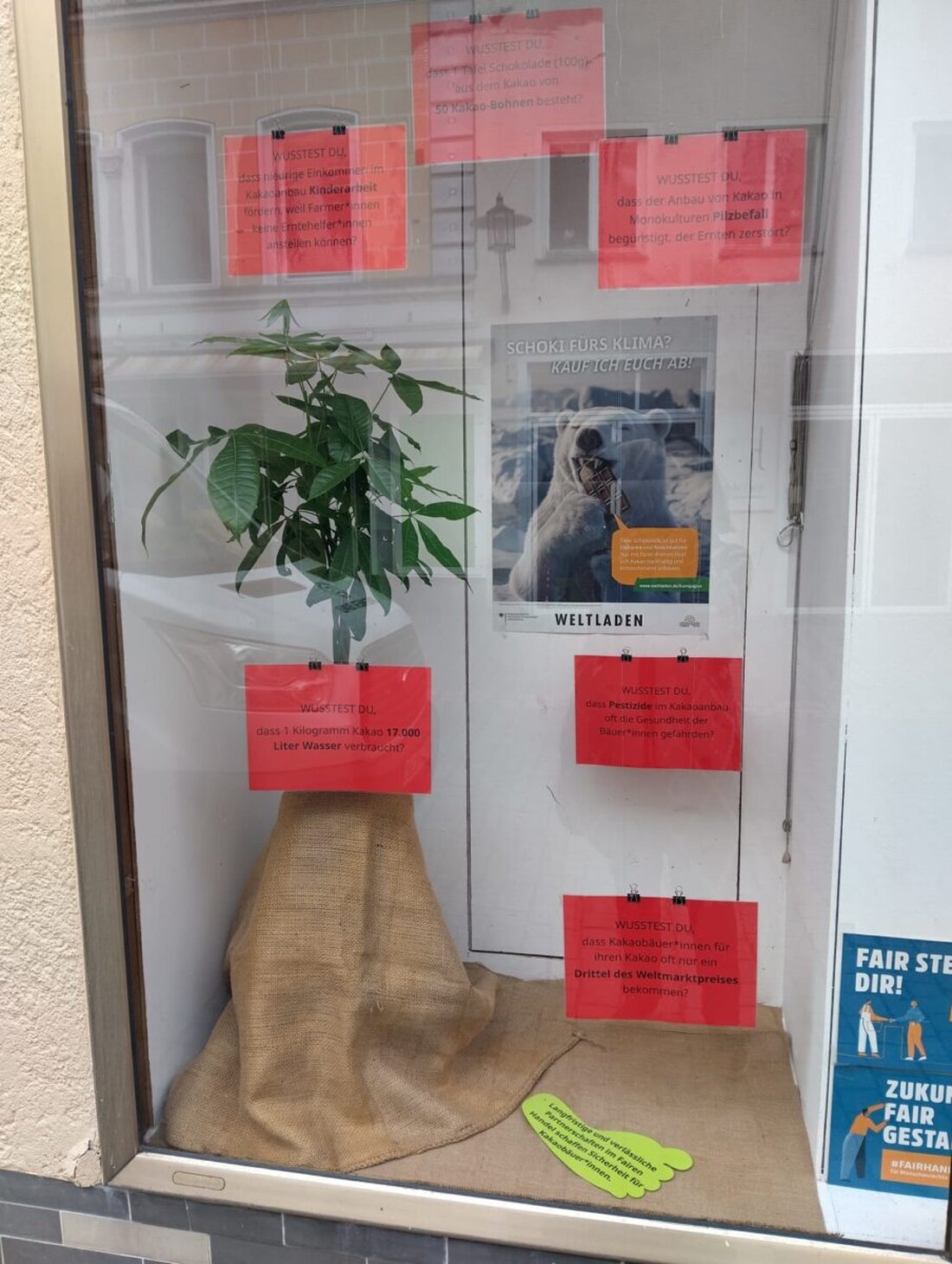 Weiden. Am Weltladentag machen hunderte Weltläden auf die prekären Arbeitsbedingungen von Kakaobäuer:innen aufmerksam, unter anderem mit Aktionen in Weiden. Eine Petition fordert faire Kakaopreise, um Arbeitsbedingungen und Klimabilanz zu verbessern.