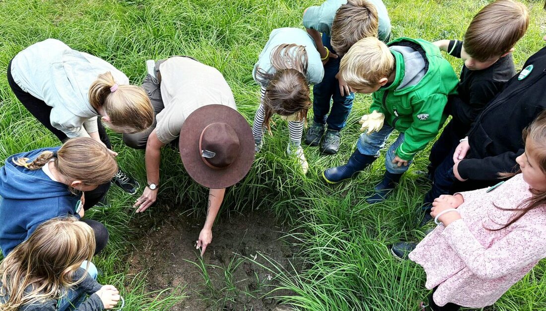 Schirmitz. Mit einem besonderen Abend voller spannender Entdeckungen und lehrreicher Naturerlebnisse startete das Schirmitzer Ferienprogramm. Der Obst- und Gartenbauverein (OGV) und der Oberpfälzer Waldverein (OWV) hatten sich mit dem Naturpark Nördlicher Oberpfälzer Wald zusammengetan, um Kindern die heimische Natur näherzubringen. Zum Auftakt stand die Veranstaltung „Tiere der Nacht“ auf dem Programm und auch eine Spendenübergabe sorgte für Freude.