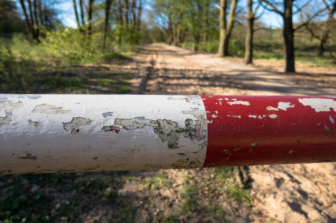 Weiden. Zwei Ausstellungen von UVUP Pilsen und dem Oberpfälzer Kunstverein spannen einen Dialog zwischen Bayern und Böhmen. Eröffnung in Pilsen am 23. April 2026, 17 Uhr und Vernissage in Weiden am 26. April, elf Uhr.