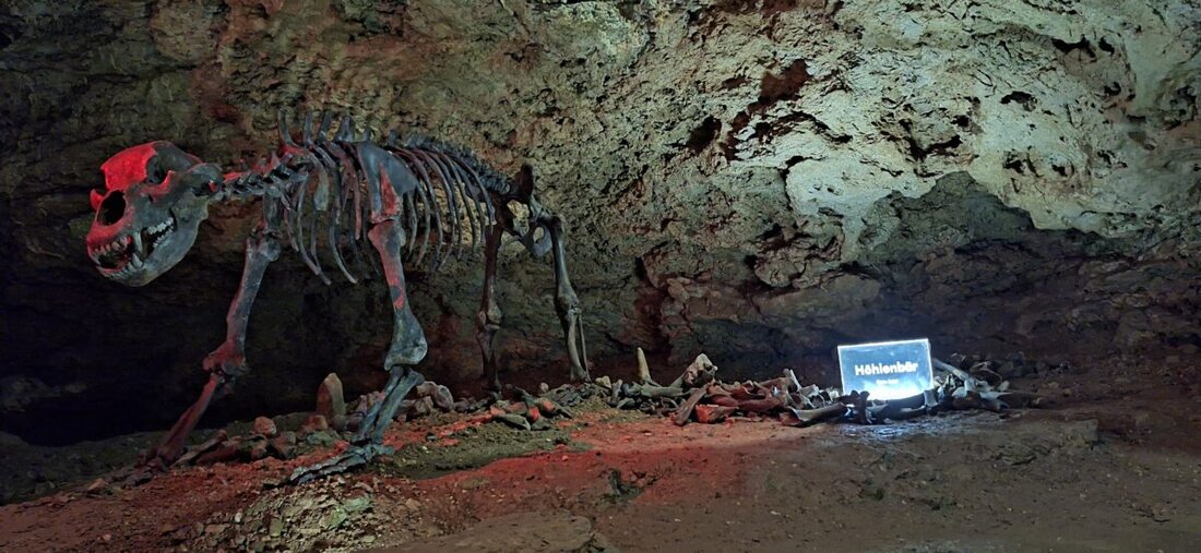 Pottenstein/Erbendorf. Schüler der Klassen 6aG und 7M aus Erbendorf erkundeten die Tropfsteinhöhle in Pottenstein und erlebten das Gestein der Fränkischen Schweiz hautnah. Sie genossen Kletterübungen auf dem Erlebnisfelsen und hatten Spaß an Sommerrodelbahnen, Trampolinen und weiteren Aktivitäten.
