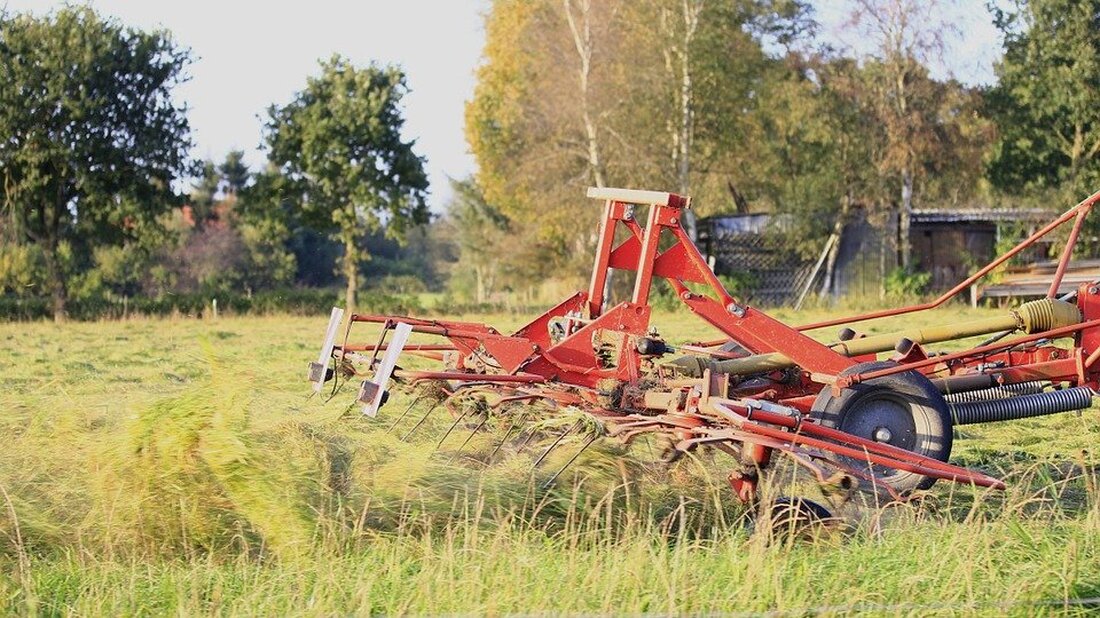 Luhe-Wildenau/Oberwildenau. Geldsegen beim Schwadern: Mit so einem Fund auf seiner Wiese hatte ein Landwirt wohl nicht gerechnet.  Wie die Polizei Neustadt/WN mitteilt, fand ein Landwirt beim Schwadern auf seiner Wiese [&hellip;]