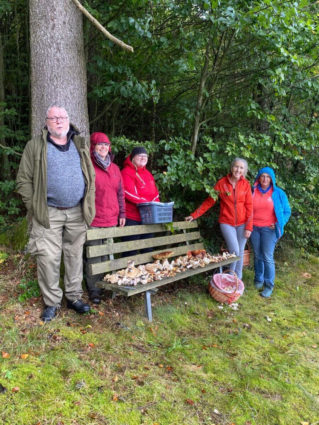 Georgenberg. Nach anfänglicher Skepsis fanden Pilzsammler auf einer Tour reichlich Speisepilze verschiedenster Arten.