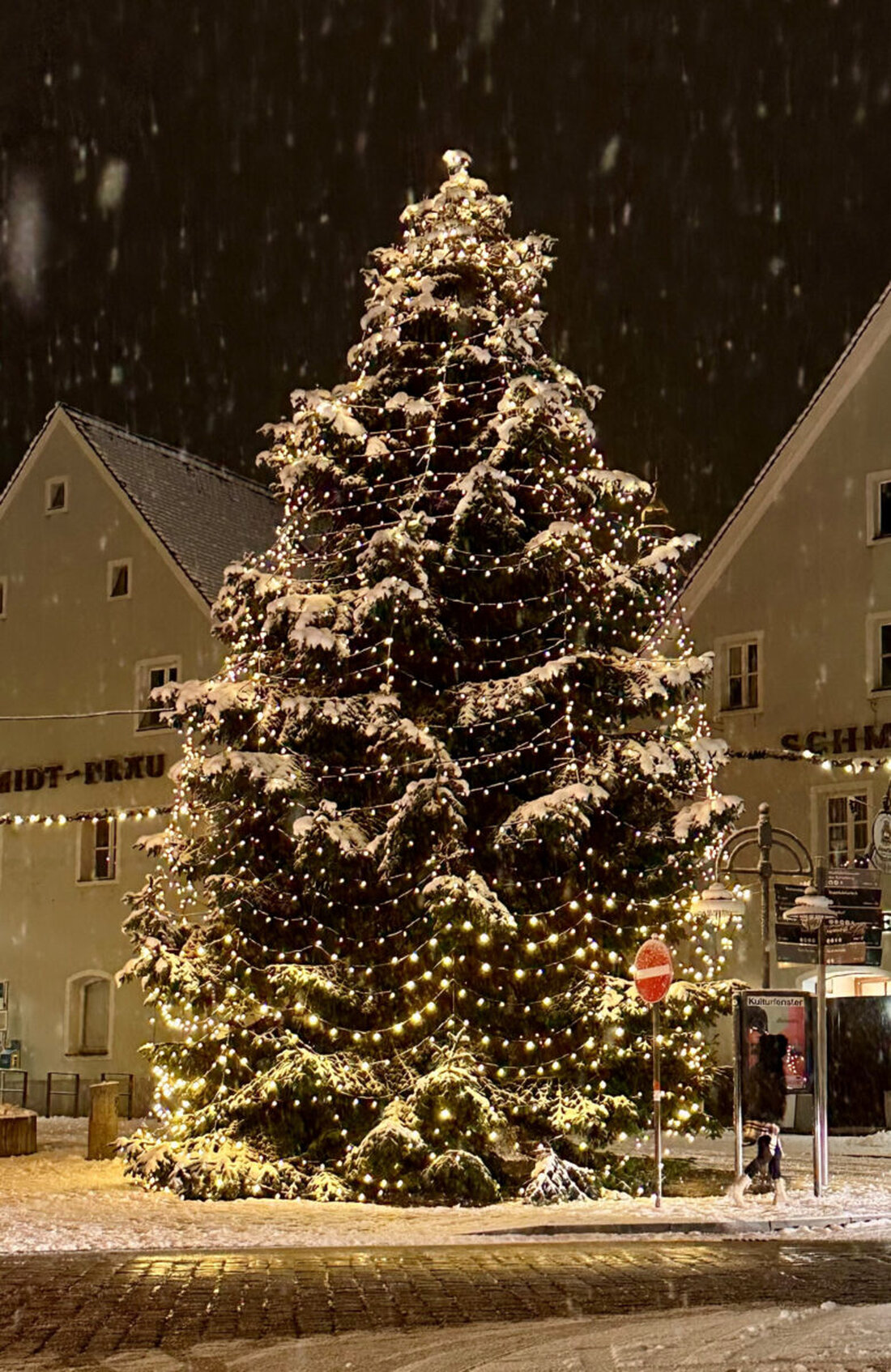 Schwandorf. Die Stadt Schwandorf ist auf der Suche nach einem Christbaum, der auch in diesem Jahr wieder für "Weihnachtsfeeling" auf dem Marktplatz sorgen soll.