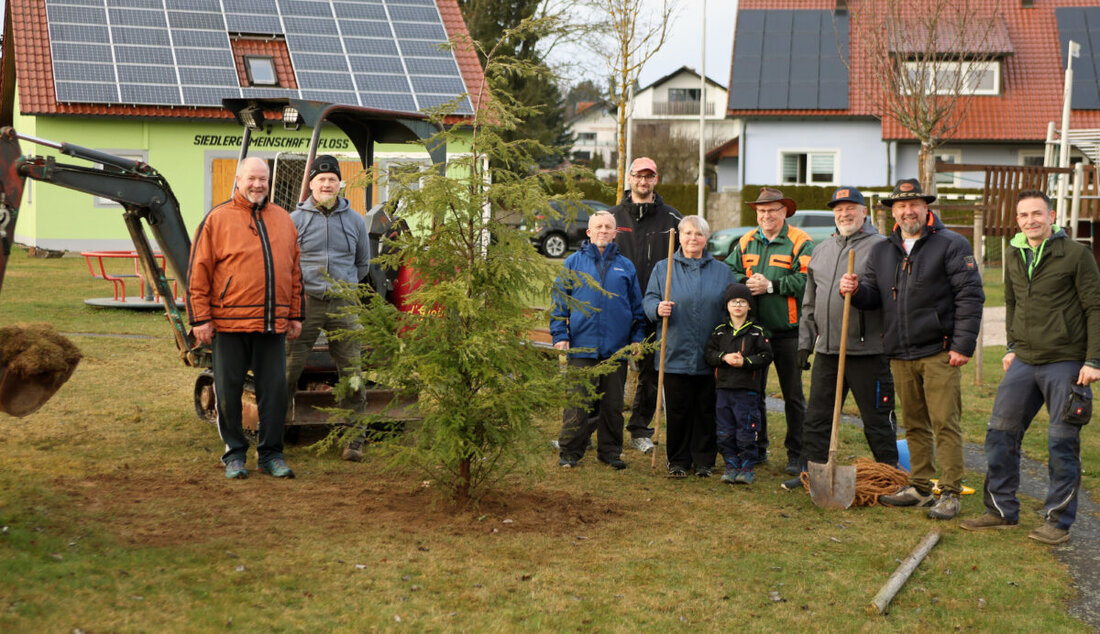 Floß. Die Siedlergemeinschaft hat die Baumpflanz-Challenge angenommen. Auf dem Spielplatz des Siedlerhaisls steht nun eine rund drei Meter hohe Hemlocktanne, finanziert mit 250 Euro von Flosser Logistik GmbH.