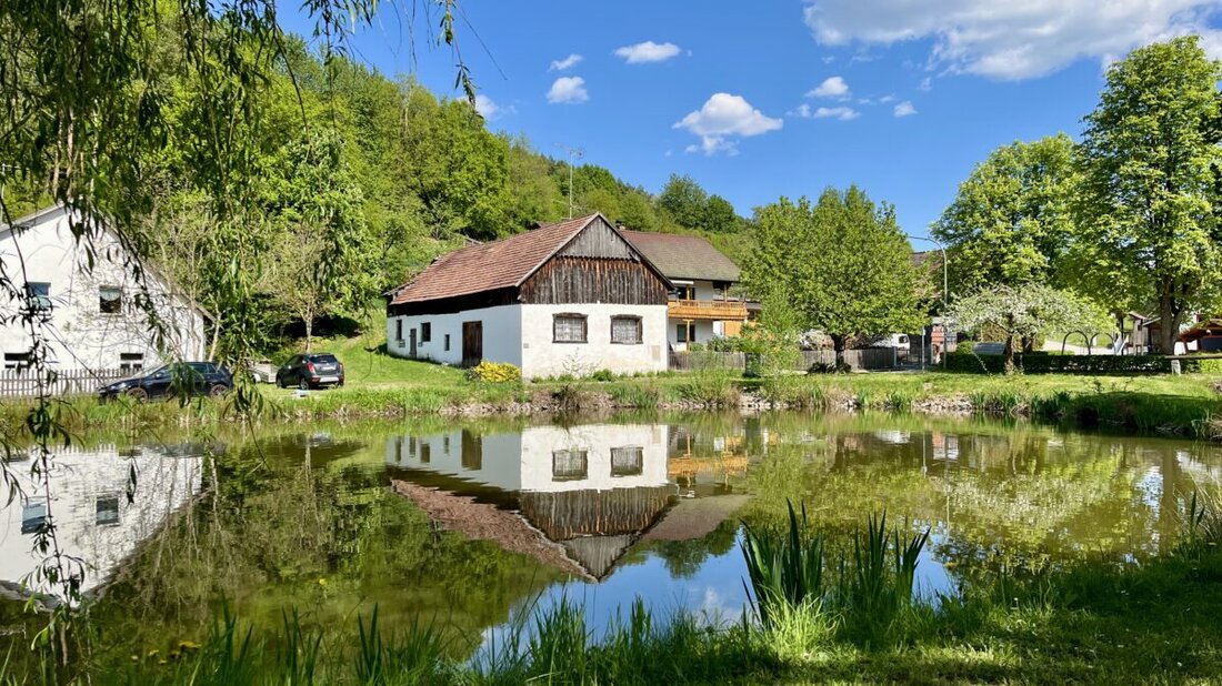 Steinberg. Der Zweckverband Oberpfälzer Seenland ruft erneut alle Fotobegeisterten auf, ihre schönsten Erlebnisse und Eindrücke aus der Region einzufangen. Bis zum 31. Oktober 2025 läuft der Fotowettbewerb unter dem Motto #meinseenlandmoment2025. 