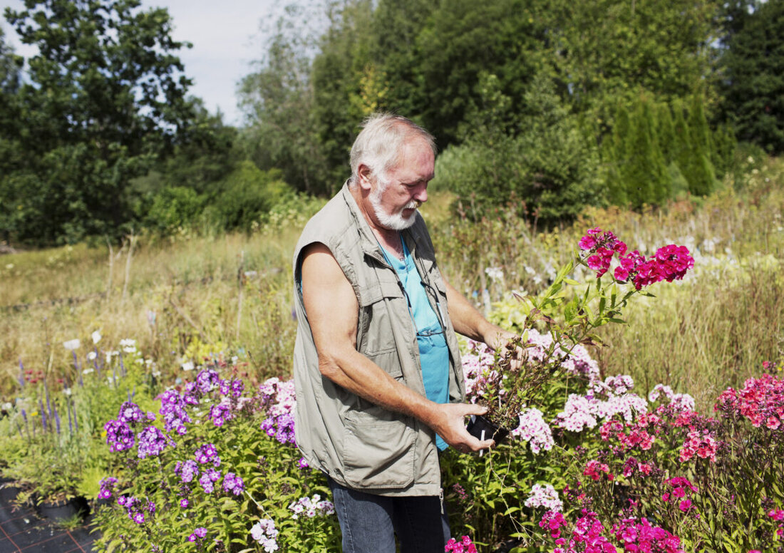 Erbendorf. Das Sommerprogramm "Bio-Erleben" in der Öko-Modellregion Steinwald feiert sein 10-jähriges Jubiläum vom 14. Juli bis 30. August 2025 mit vielseitigen Aktivitäten rund um das Thema Bio.