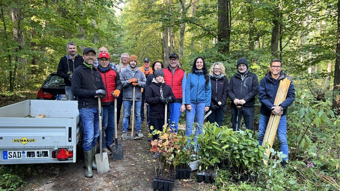 Burglengenfeld. Am 3. Oktober pflanzten SPD und Baumpaten im Raffa 104 Bäume und haben seit 2019 insgesamt über 700 gepflanzt, um Naturschutz und Klimaresilienz zu stärken.