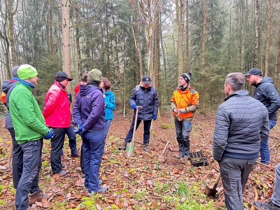 Kemnath. Die Sparkasse Oberpfalz Nord pflanzte am 11. November 2024 in einer Nachhaltigkeitsaktion 200 Laubbäume im Stadtwald Kemnath zur Umwelt- und Regionalförderung. Diese Aktion soll das Bewusstsein für den Umweltschutz stärken und andere zur Teilnahme motivieren.