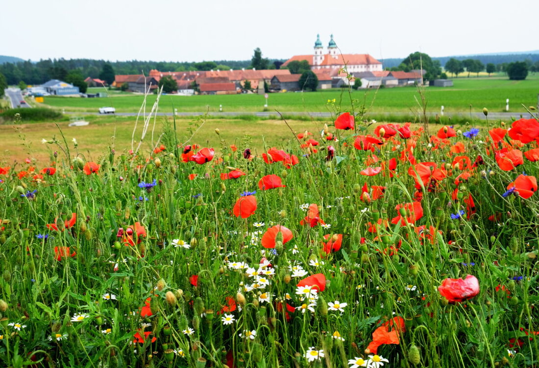 Speinshart. Das Dorf plant ein Wissenschaftszentrum für Künstliche Intelligenz und moderne Infrastrukturprojekte mit umfassender staatlicher Förderung und eigener finanzieller Beteiligung. Trotz wirtschaftlicher Schwierigkeiten und steigender Ausgaben bleibt die Gemeinde zukunftsorientiert.