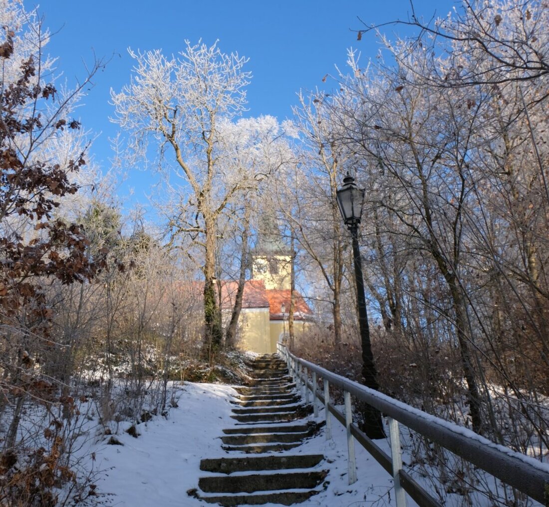 Floß. Der Oberpfälzer Waldverein in Floß bereitet sich auf sein 100-jähriges Bestehen und die Hauptversammlung 2026 vor. Die Jugendarbeit zeigt Fortschritte, und die Planung für das nächste Jahr inklusive Waldweihnachtsfeier und einer Reihe von Veranstaltungen ist in vollem Gange.