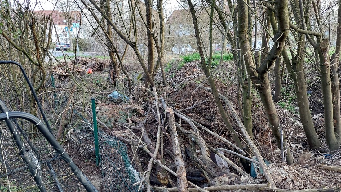 Amberg. In der Othmayrstraße wird seit Jahren Grüngut illegal abgeladen, obwohl zwei Grüncontainer nur rund 350 Meter entfernt sind. Die Ablagerungen verursachen Kosten, beschädigen einen Zaun und die Stadt bittet um Hinweise.