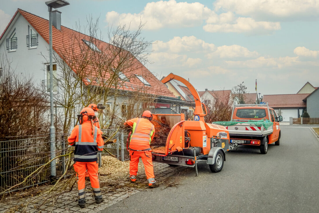 Amberg. Die Stadtgärtnerei bietet von 9. bis 13. November 2026 eine Häckselaktionswoche an und häckselt Äste direkt vor Ort. Anmeldungen sind bis 29. Oktober 2026 möglich, die Kosten starten bei 13 Euro.