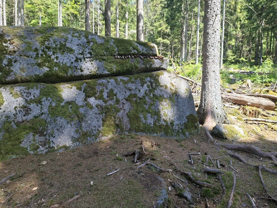 Pfaben. Die Waldjugendspiele im Steinwald lockten an zwei Tagen 21 Klassen und über 400 Kinder auf einen Rundkurs mit 13 Stationen. Das AELF Tirschenreuth-Weiden und Partner sorgten für Wissen und das Steinwaldkrokodil.