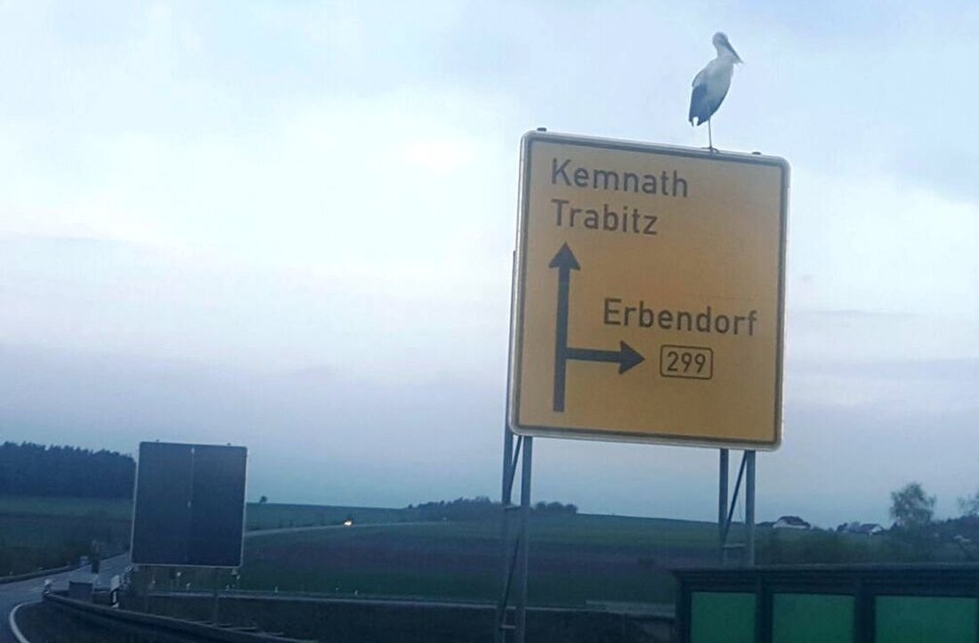 Weiden. Der Naturschutz hat eine Storchencam spendiert. Wer wissen will, was Familie Adebar gerade so treibt, kann sich jetzt ganz einfach selbst ein Bild vom alten Schulhaus aus der Vogelperspektive [&hellip;]