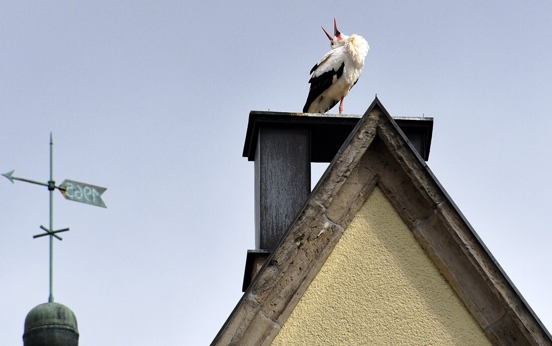 Weiden. Der Storchexperte Jürgen Wilke hat heute ein paar Schnappschüsse von Meister Adebar eingefangen, wie er seine Kreise über die Weidener Altstadt zieht. Und auch in Neustadt lässt die Ankunft des Storchs auf [&hellip;]